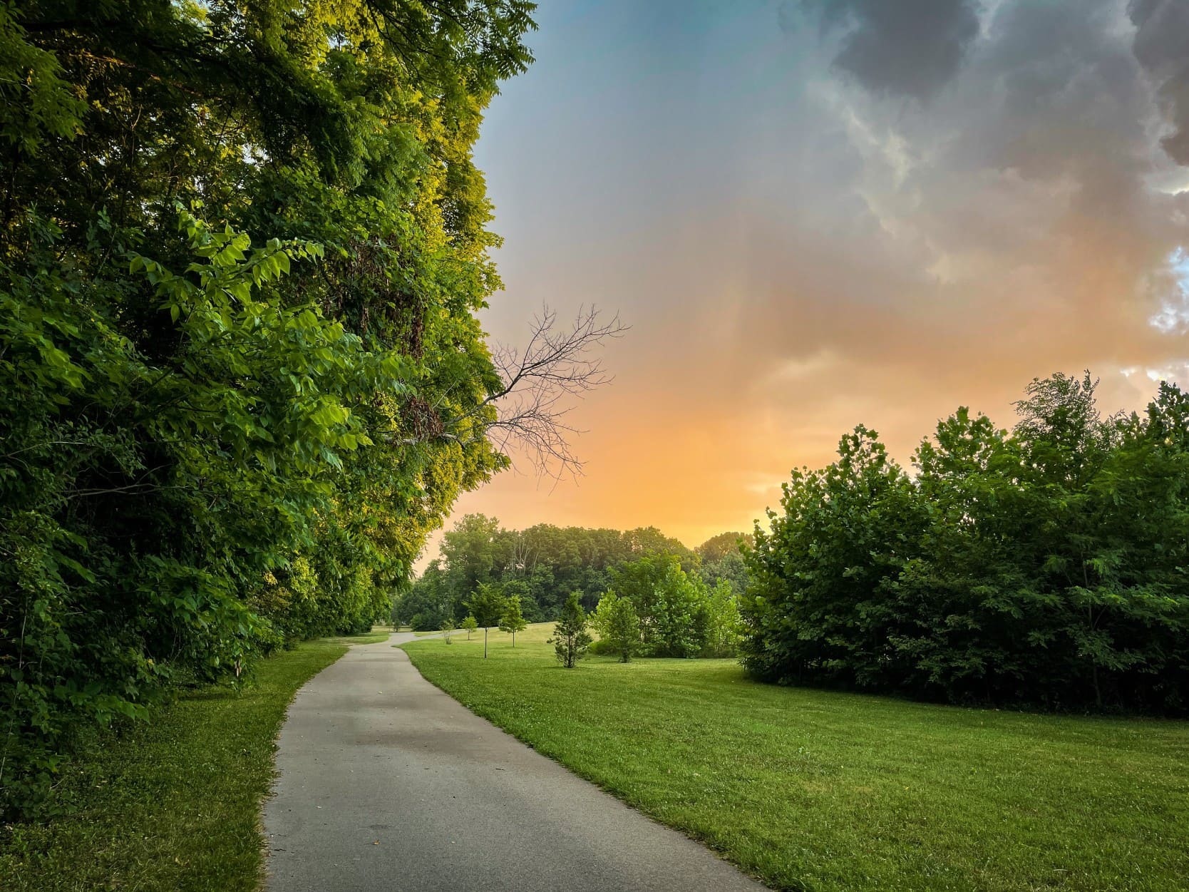 Walking path through a park in Lexington, Kentucky